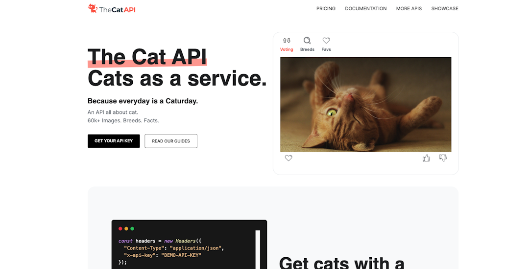 The Cat API Image